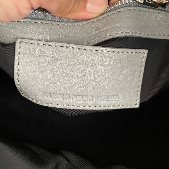 Alexander Wag Rocco - Picture 4 of 5